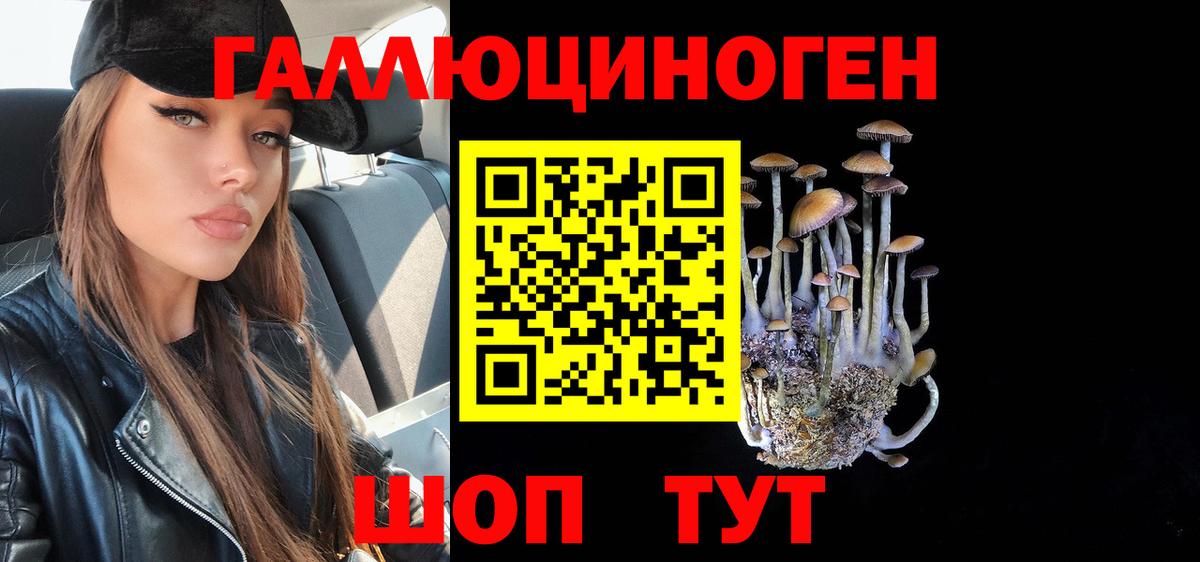 Хабаровск  Галлюциногенные грибы Magic Shrooms  Вход с VPN  Псилоцибиновые грибы мицелий 